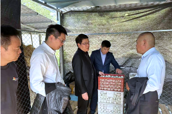 1667545818129551.png 圖片2.png